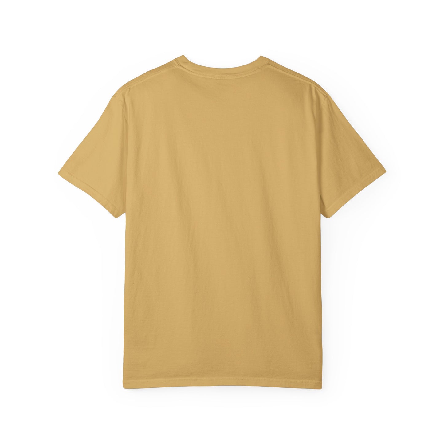 Jesus Saved My Soul T-Shirt